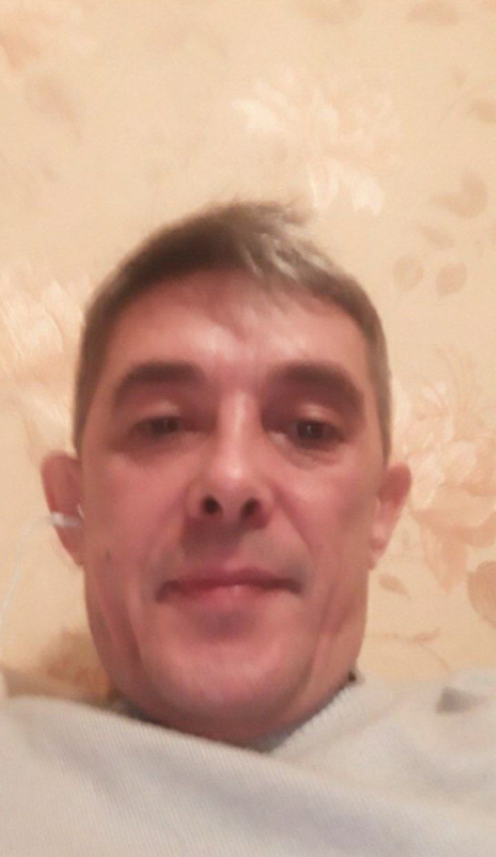 ���� 24310762 ������� Lion, 47 ���, ���� ���������� � ������