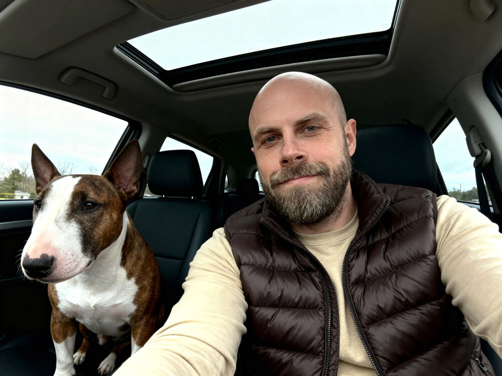 ���� 54305212 ������� �����, 41 ���, ���� ���������� � �����������