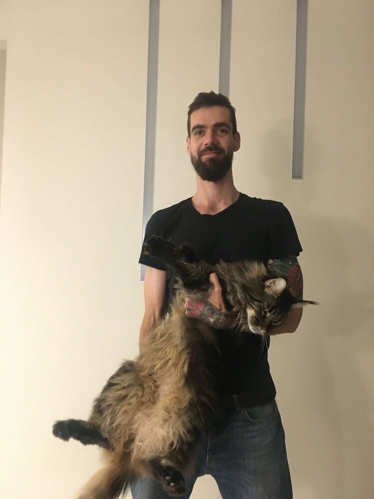 ���� 33825822 ������� �������, 31 ���, ���� ���������� � ����������