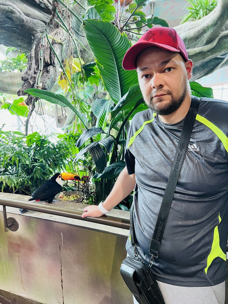 ���������� ���������, ���� ������� ������, 37 ���, ������������ ��� ������, ����� � ���������