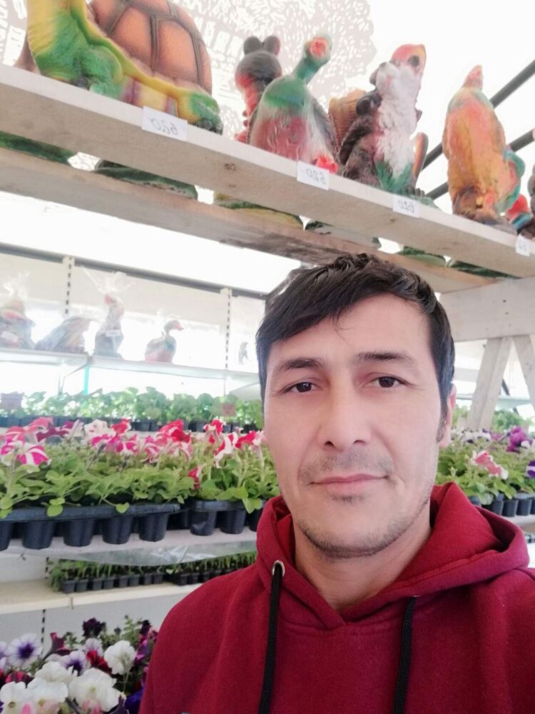 ���� 44779322 ������� �������, 47 ���, ���� ���������� � ������