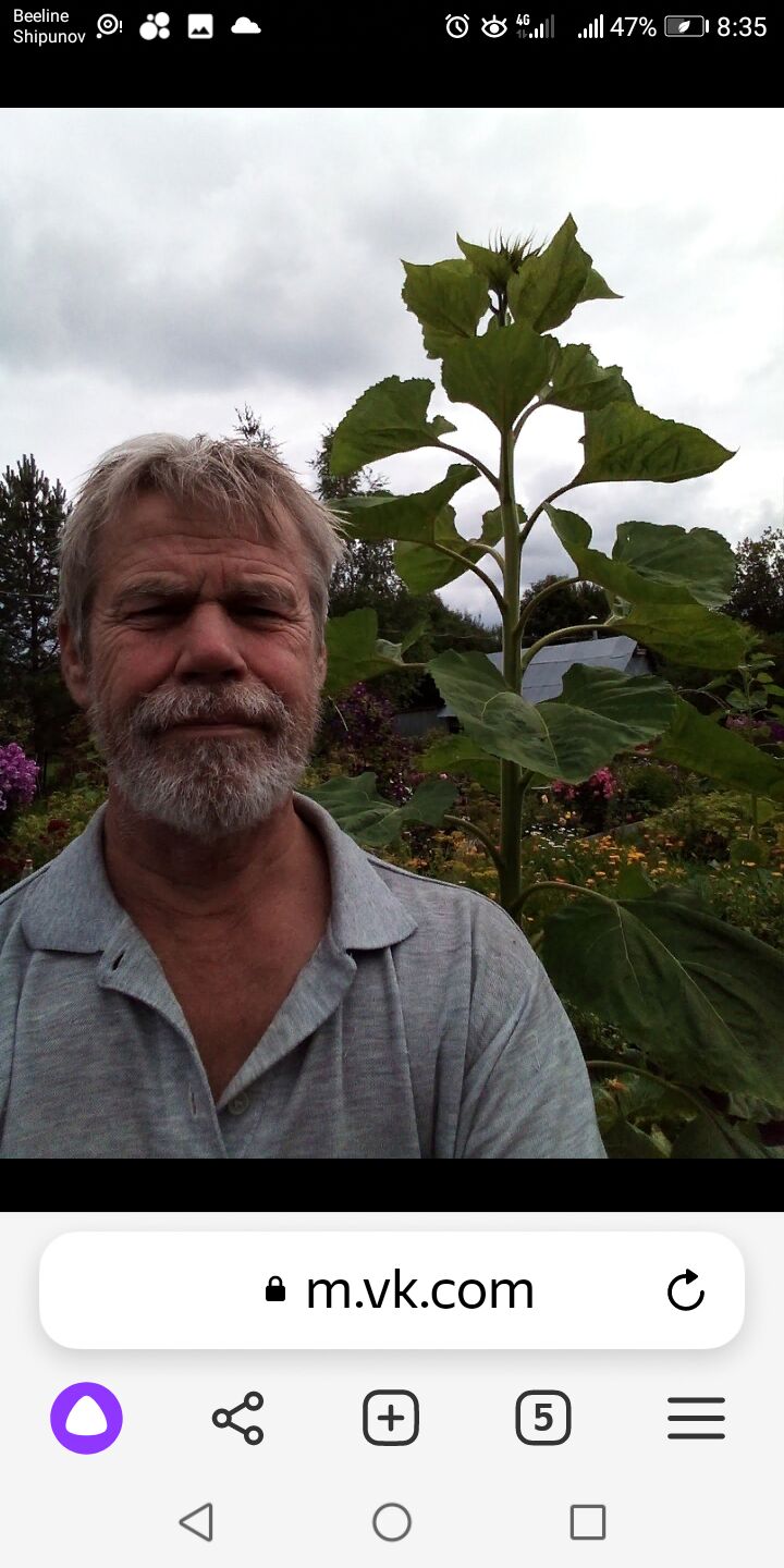  48144372  Alex, 67 ,    