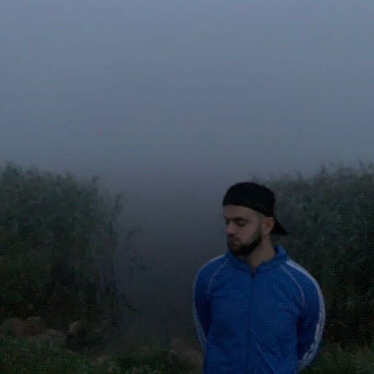  24218872  , 31 ,    