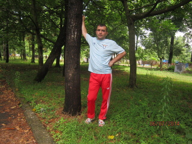 ���� 4600912 ������� DAVID, 46 ���, ���� ���������� � �������