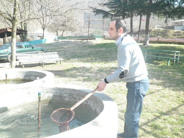  6308372  Giorgi, 44 ,    