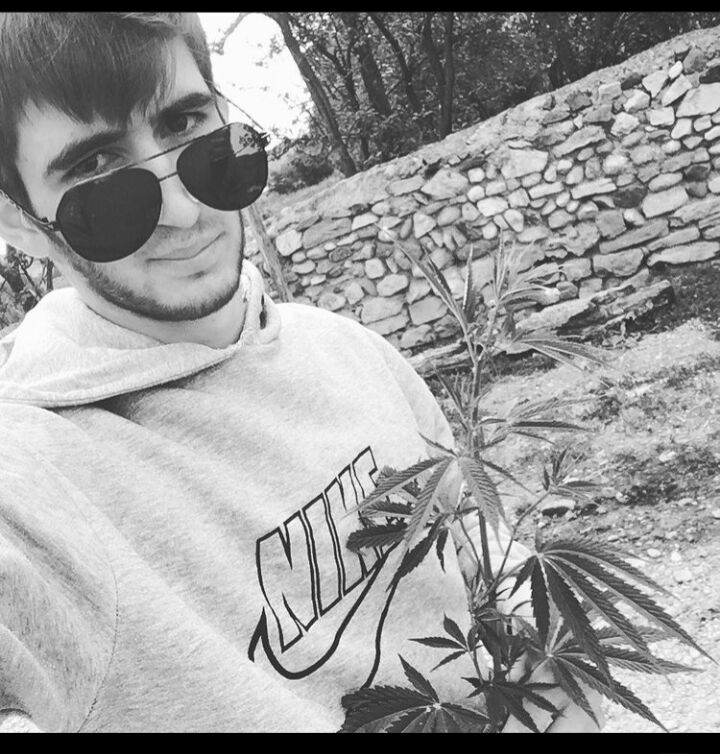 ���������� ���������, ���� ����� ����, 22 ����, ������������ ��� ������, ����� � ���������, c�������� ���������, ���������