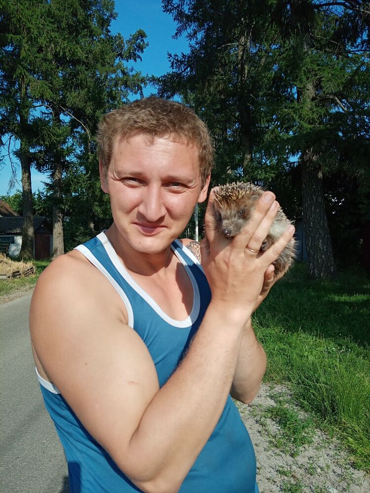 ���� 33826132 ������� ���������, 34 ����, ���� ���������� � �������