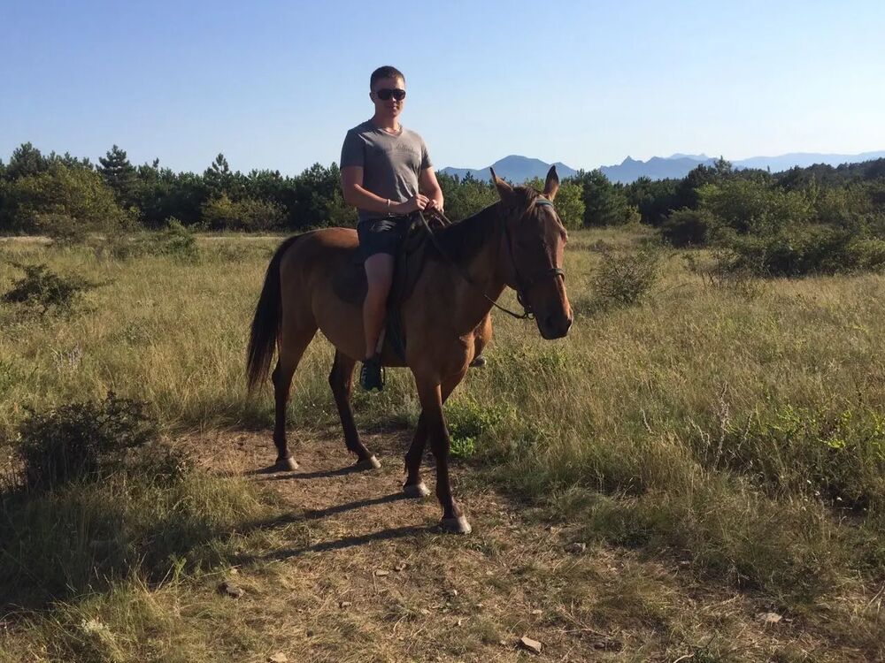 ���������� ������, ���� ������� ��������, 36 ���, ������������ ��� ������, ����� � ���������