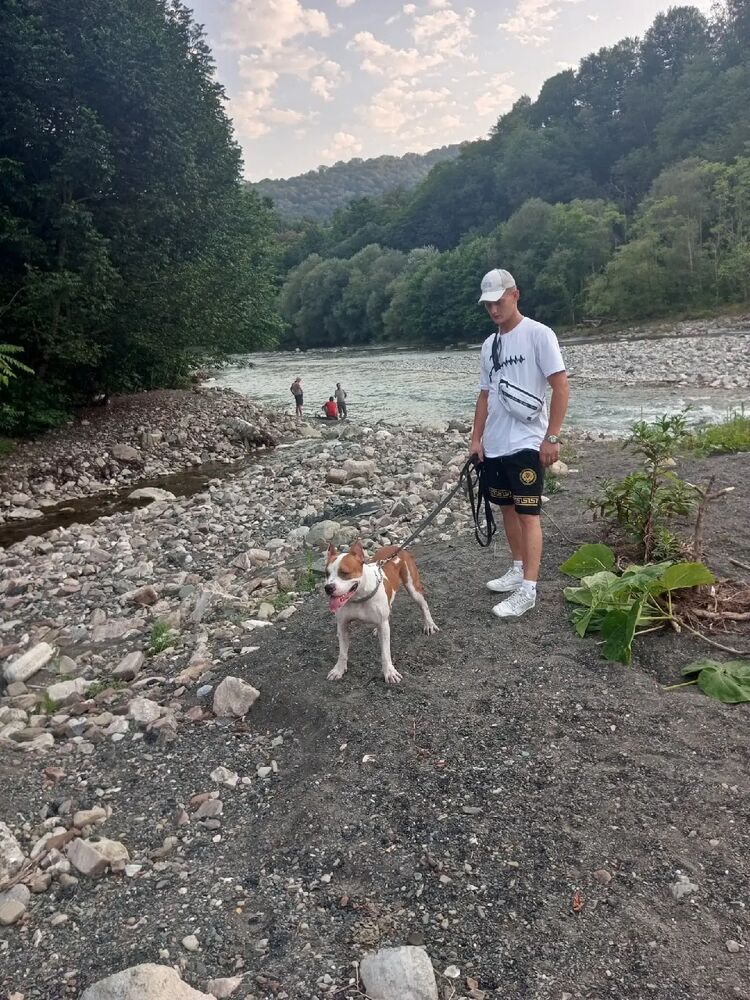 ���������� ����, ���� ����� ������, 24 ����, ������������ ��� ������, ����� � ���������