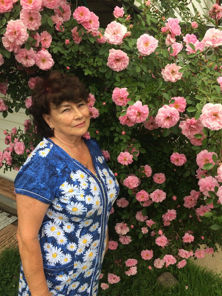 ���� 53459612 ������� ����, 75 ���, ���� ���������� � ������