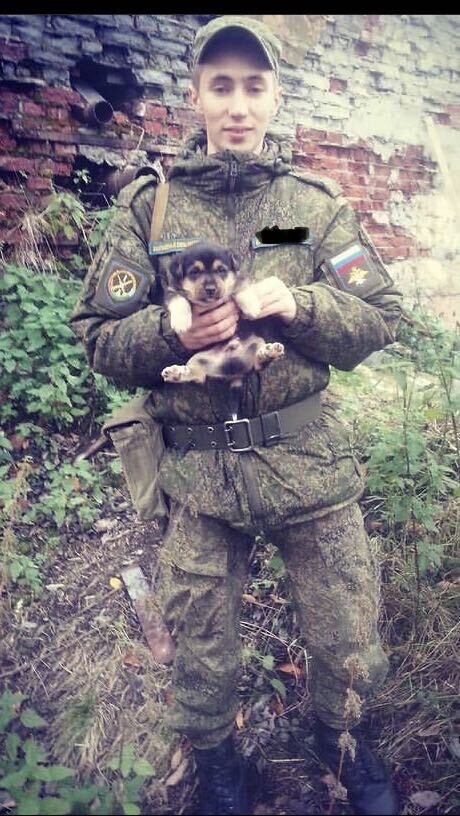 ���� 24967902 ������� ������, 30 ���, ���� ���������� � ����������