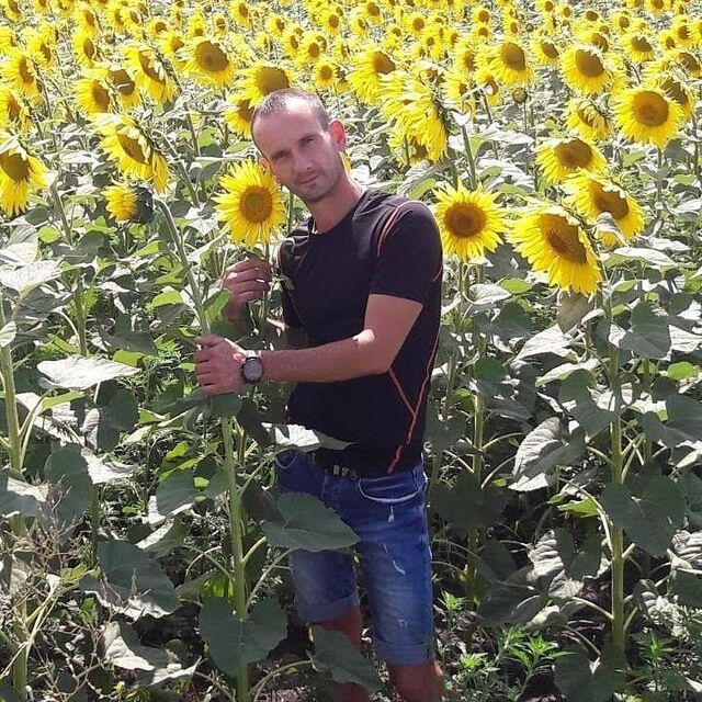 ���������� ����, ���� ������� ������, 42 ����, ������������ ��� ������