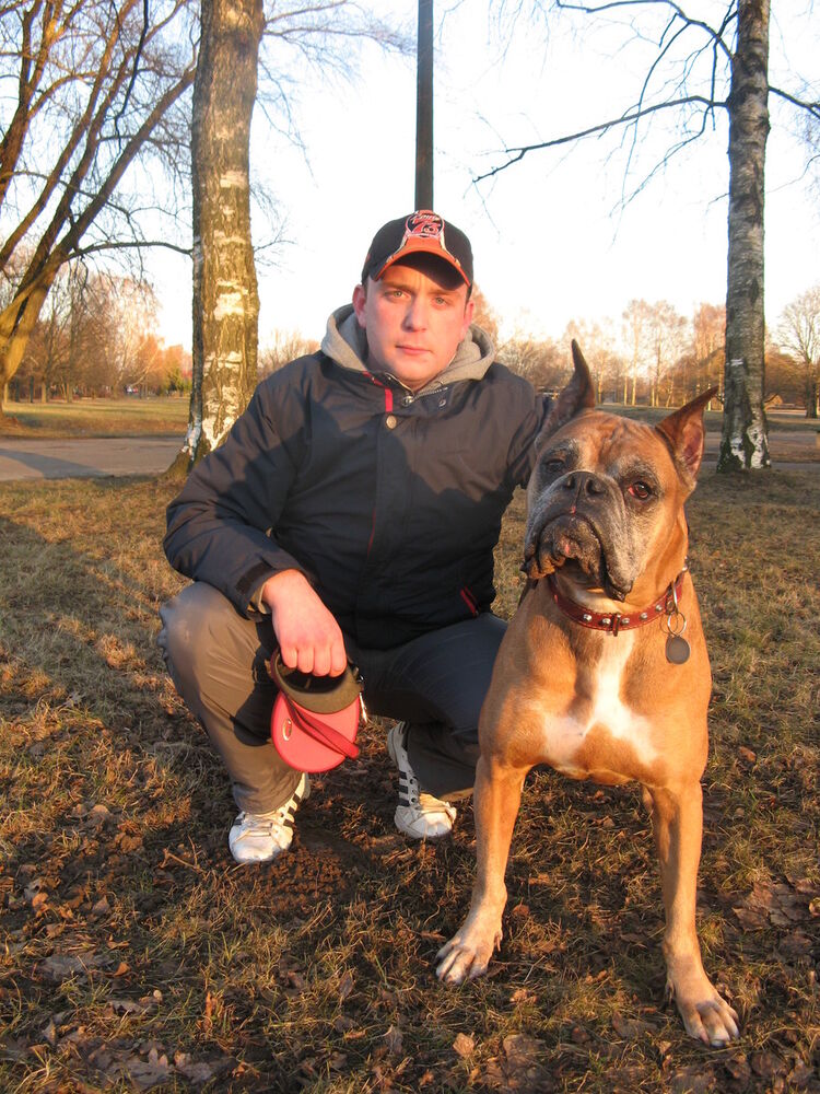 ���������� ����, ���� ������� �����, 41 ���, ������������ ��� ������, ����� � ���������, c�������� ���������