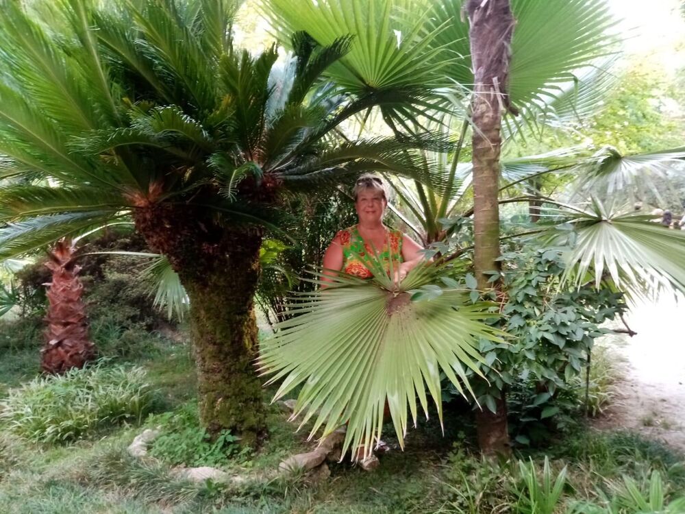 ���� 50573932 ������� ���������, 69 ���, ���� ���������� � �������-��-����