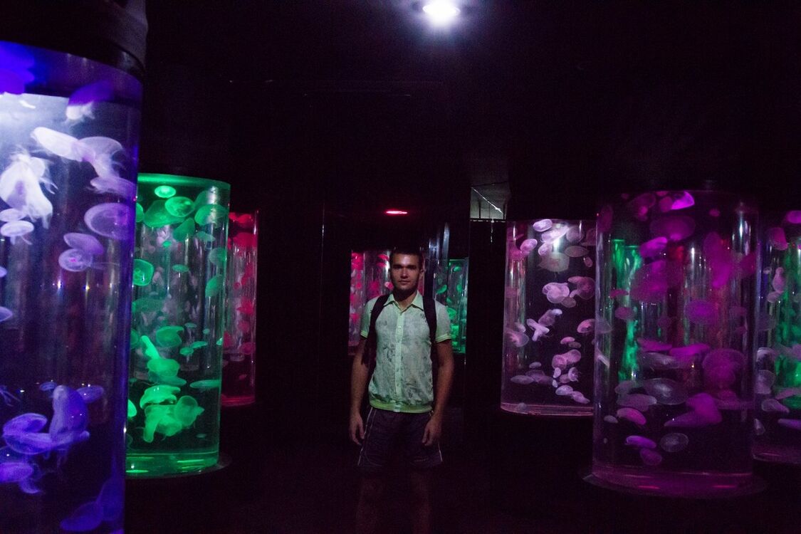 ���������� ���������, ���� ������� �����, 36 ���, ������������ ��� ������, ����� � ���������, c�������� ���������