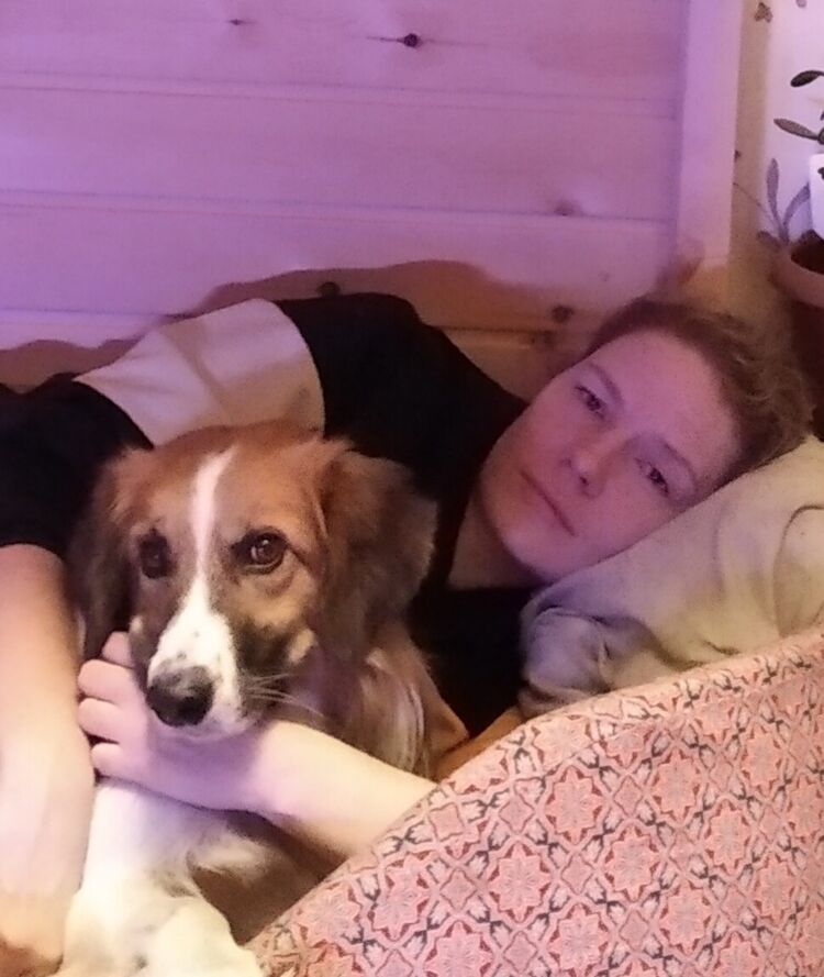 ���������� �������, ���� ������� ����, 41 ���, ������������ ��� ���������