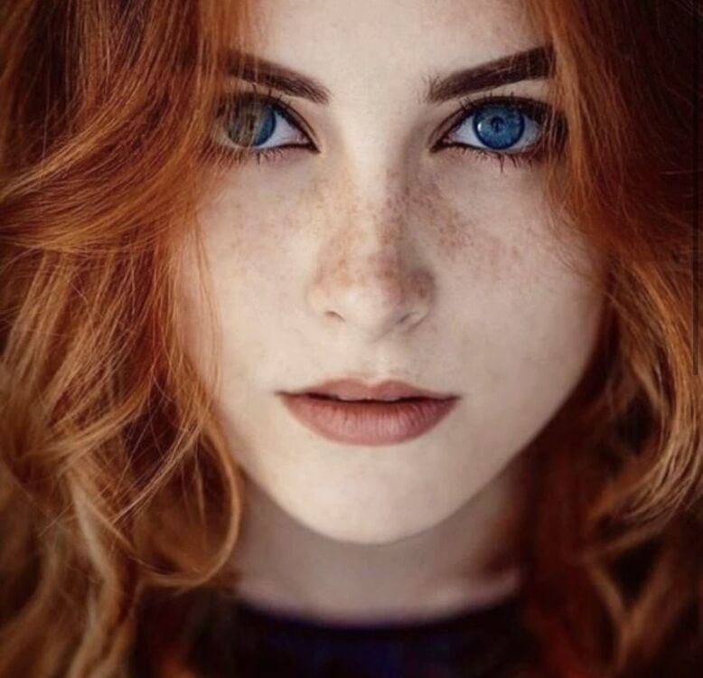 ���� 55758592 ������� �������, 35 ���, ���� ���������� � ���������