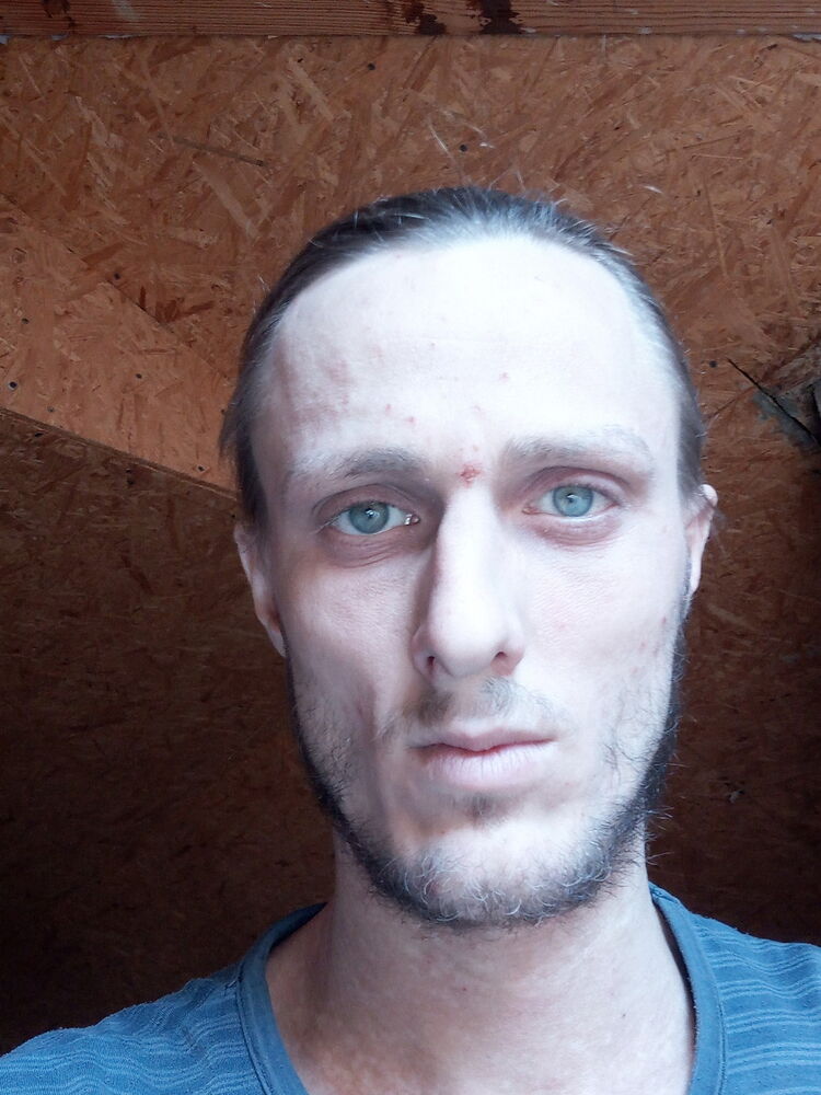 ���� 17004682 ������� ������, 36 ���, ���� ���������� � ������