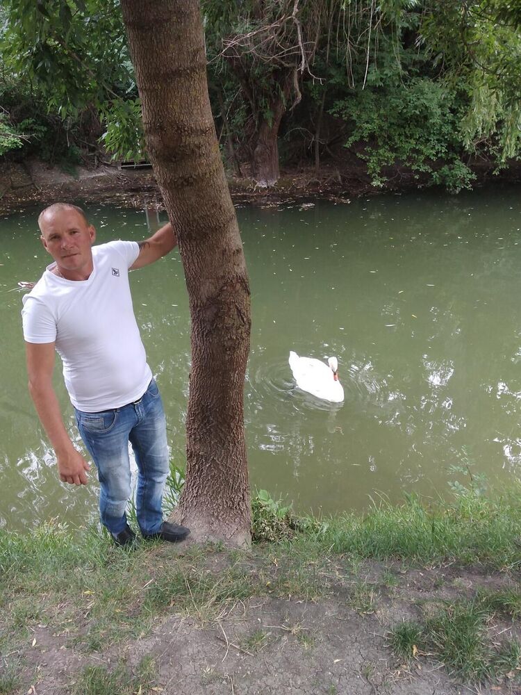 ���� 42022702 ������� ������, 38 ���, ���� ���������� � �����������