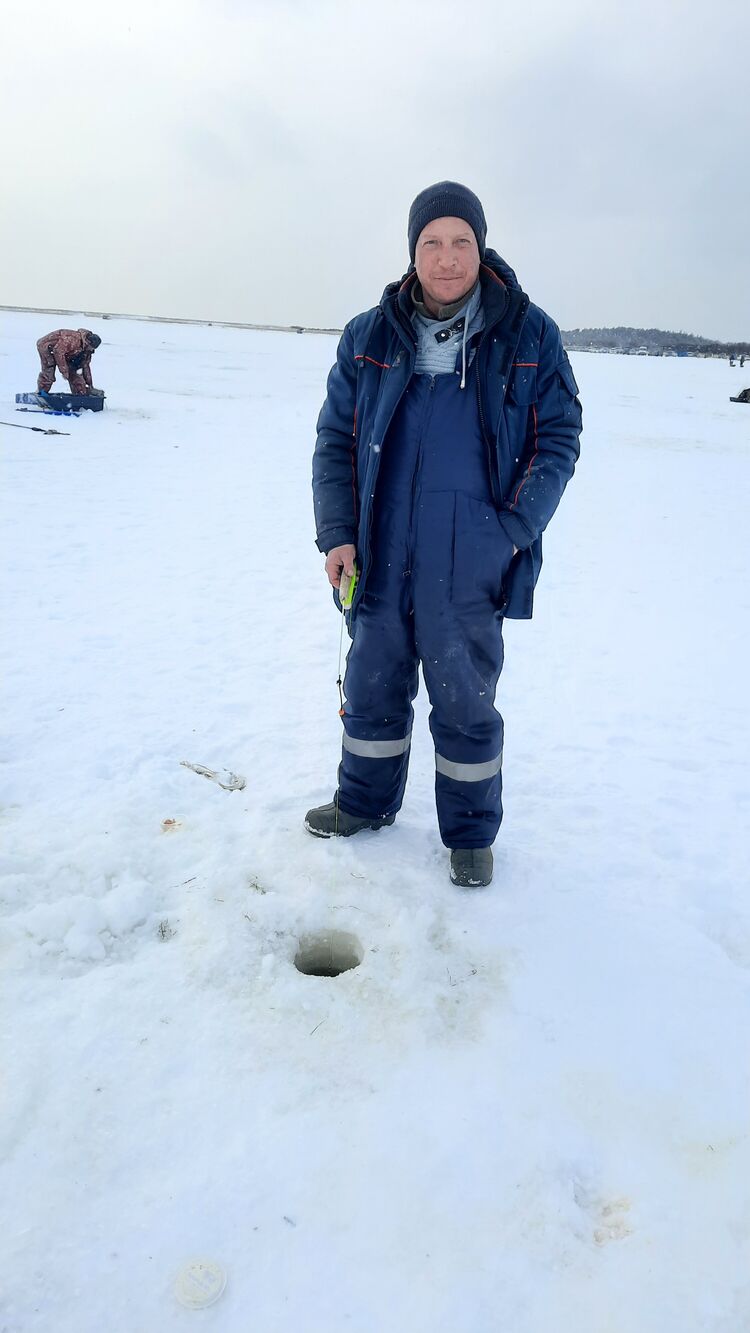  31773762  , 38 ,    -