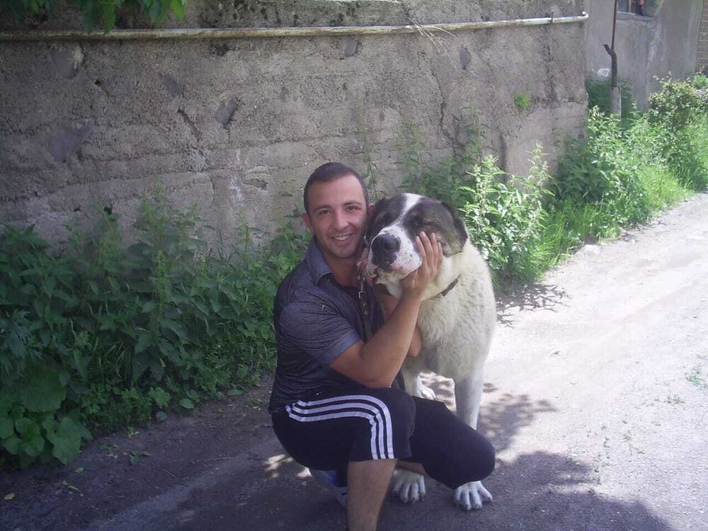 ���� 54910522 ������� Narek, 33 ����, ���� ���������� � �������