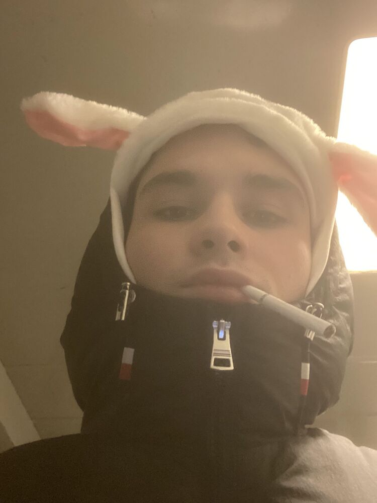 ���� 40282672 ����� ����, 20 ���, ���� ���������� � ������