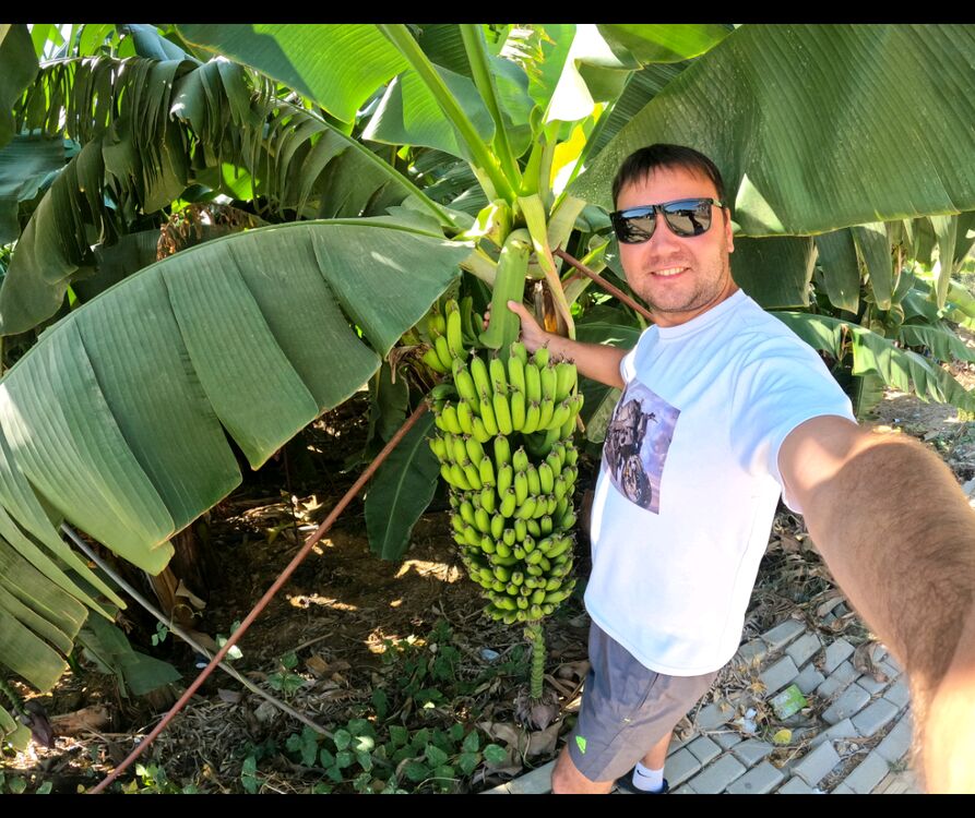 ���������� ������, ���� ������� ����, 38 ���, ������������ ��� ������, ����� � ���������, c�������� ���������