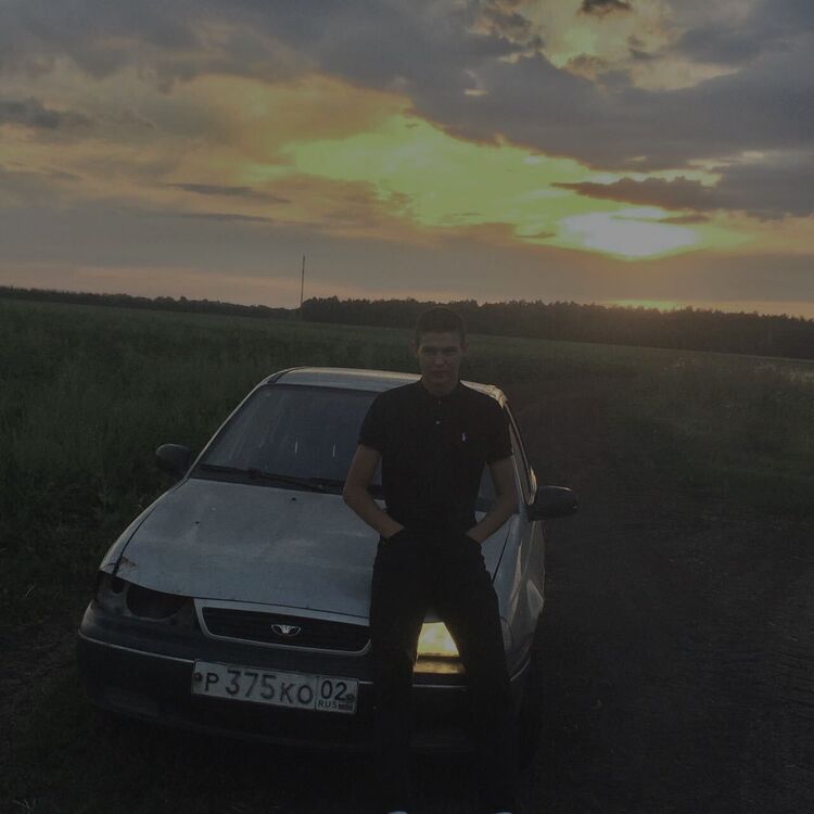  43305032  , 22 ,    