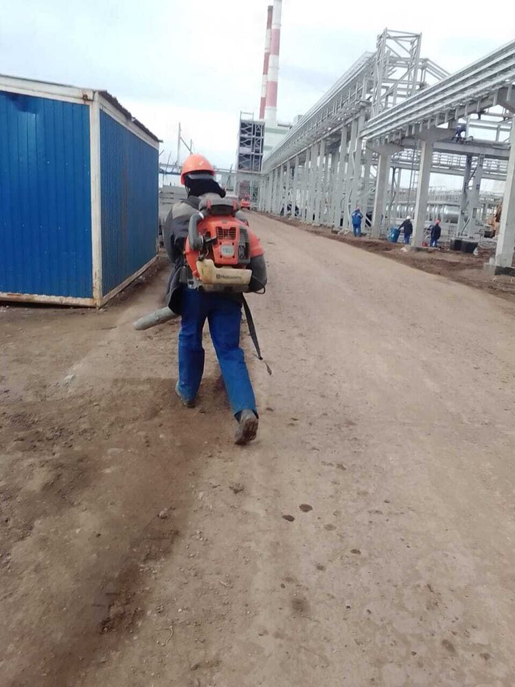 ���������� ����������, ���� ������� �����, 41 ���, ������������ ��� ������, ����� � ���������