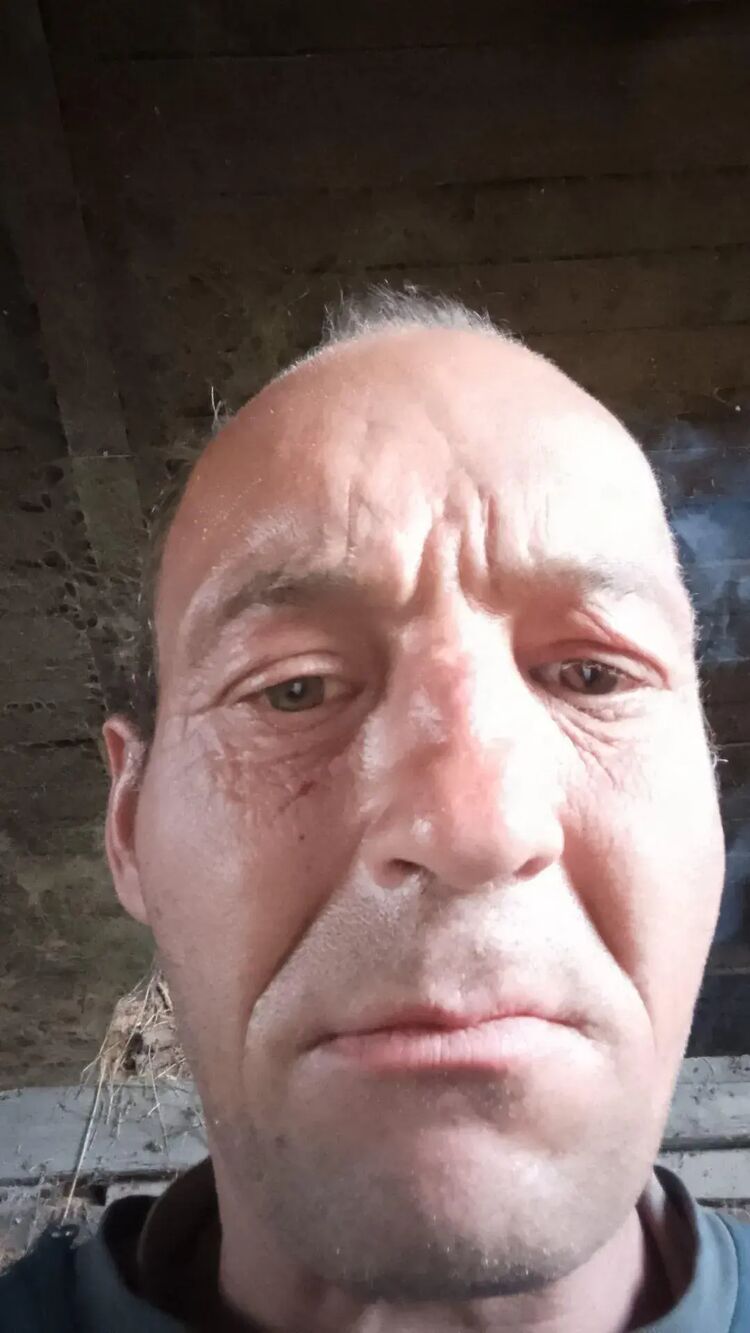  45425552  , 44 ,    
