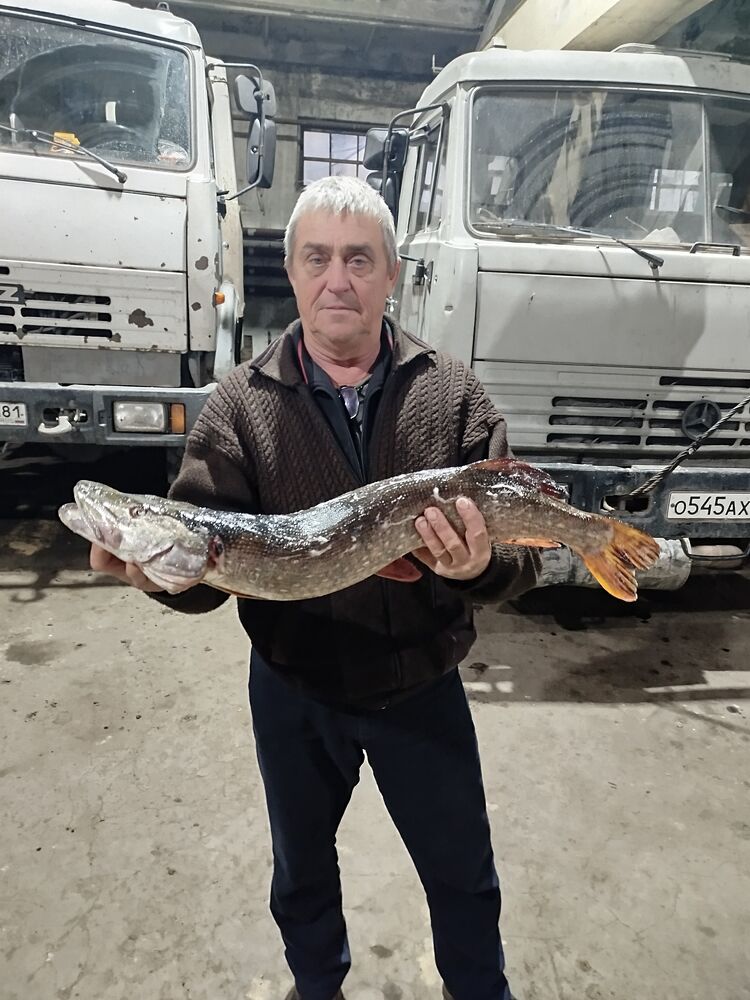 ���� 54891752 ������� ��������, 61 ���, ���� ���������� � ������� ����