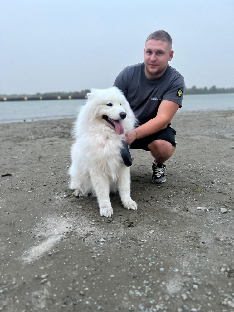 ���� 46090382 ����� �������, 23 ����, ���� ���������� � �������-��-����