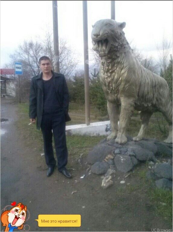  --,   , 33 ,   ,   , c 