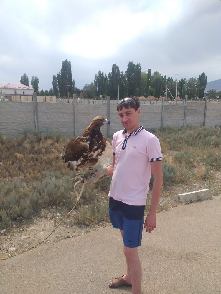 ���� 25100672 ������� ������, 38 ���, ���� ���������� � �������