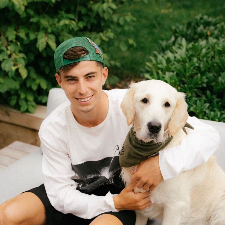 ���� 23676752 ����� ����, 25 ���, ���� ���������� � �������