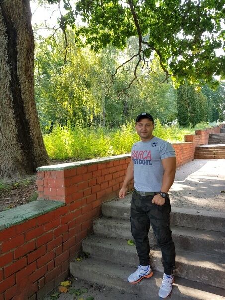  33523802  , 43 ,    -