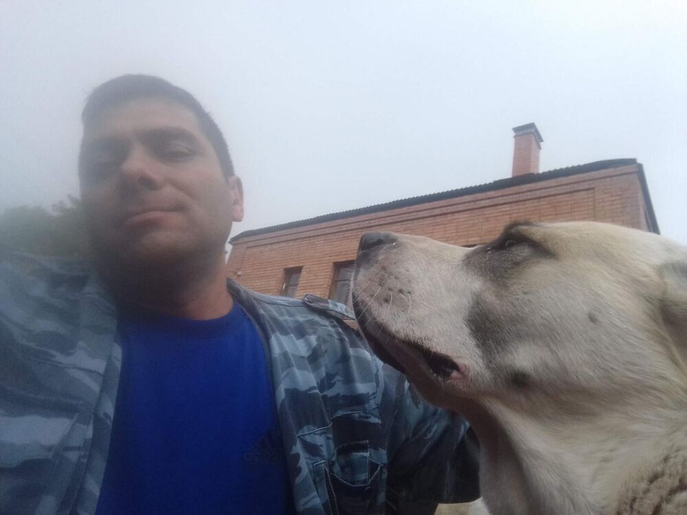 ���������� ������, ���� ������� ����������, 46 ���, ������������ ��� c�������� ���������