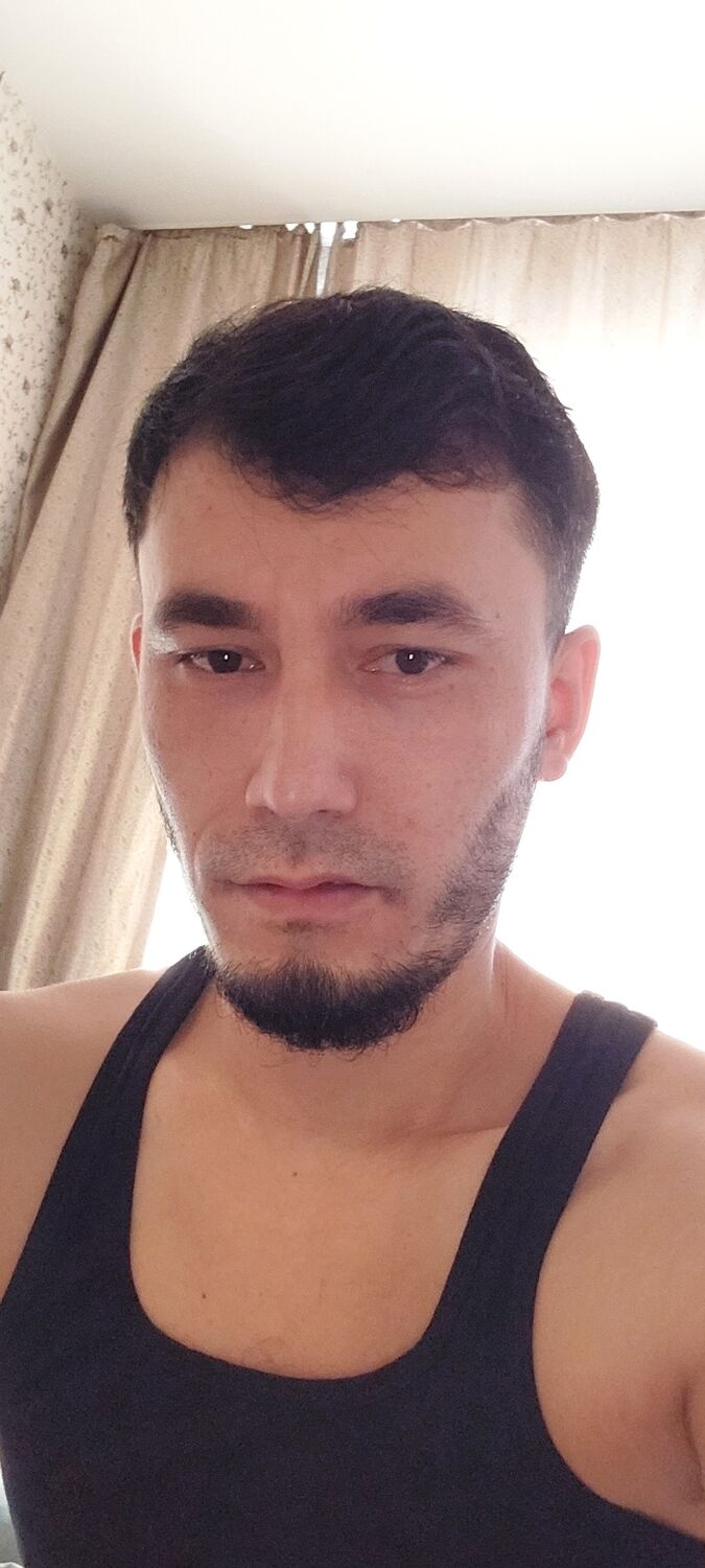 ���� 43017512 ������� ����, 32 ����, ���� ���������� � �����������