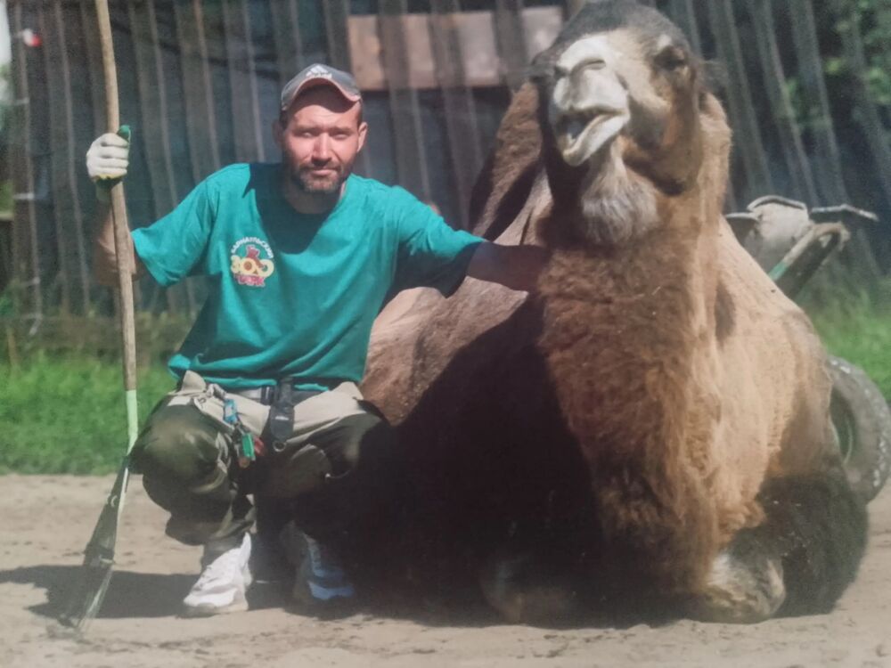 ���������� �������, ���� ������� Ivanov, 35 ���, ������������ ��� c�������� ���������