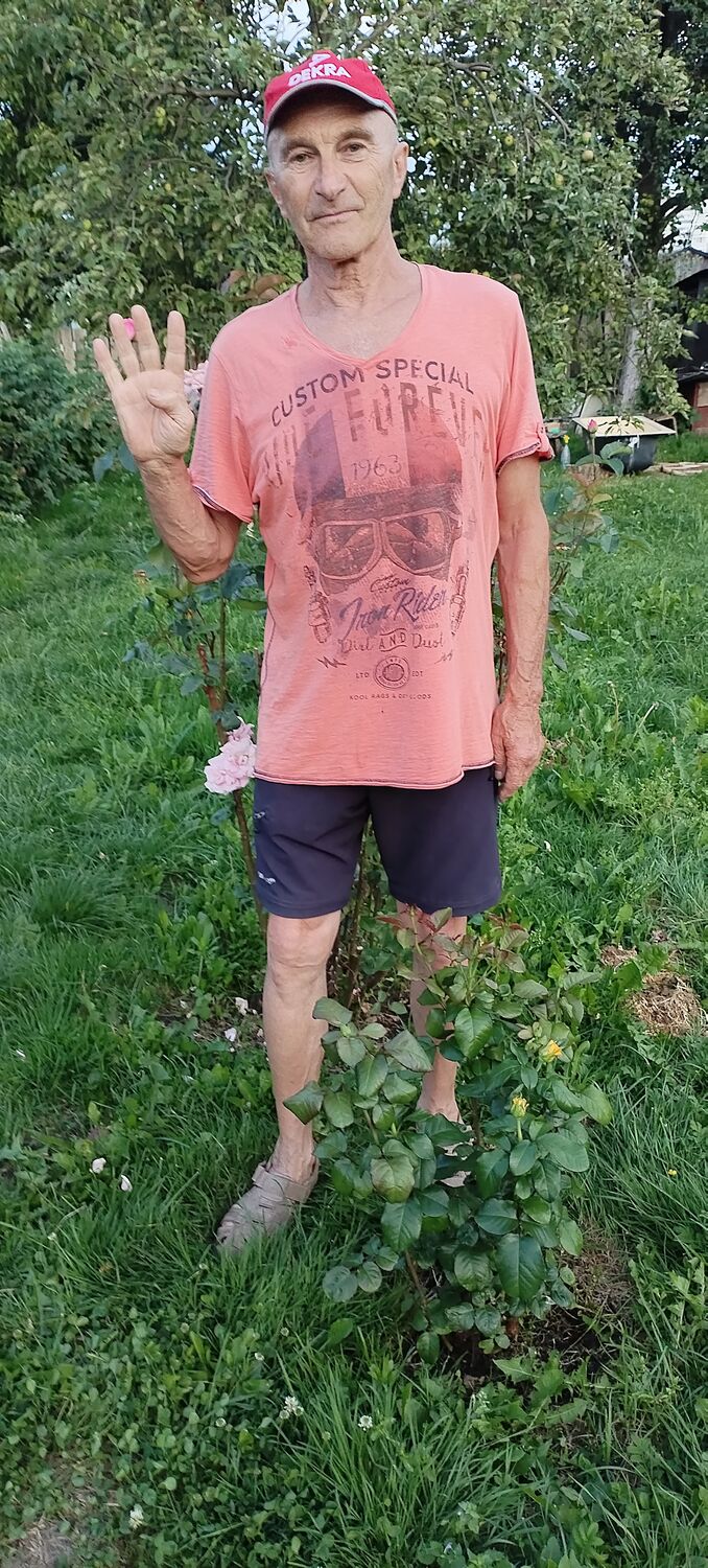  ,   Viktor, 68 ,     , c 