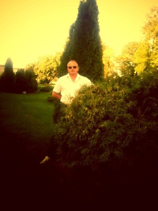 ���� 29340662 ������� ��������, 55 ���, ���� ���������� � ������