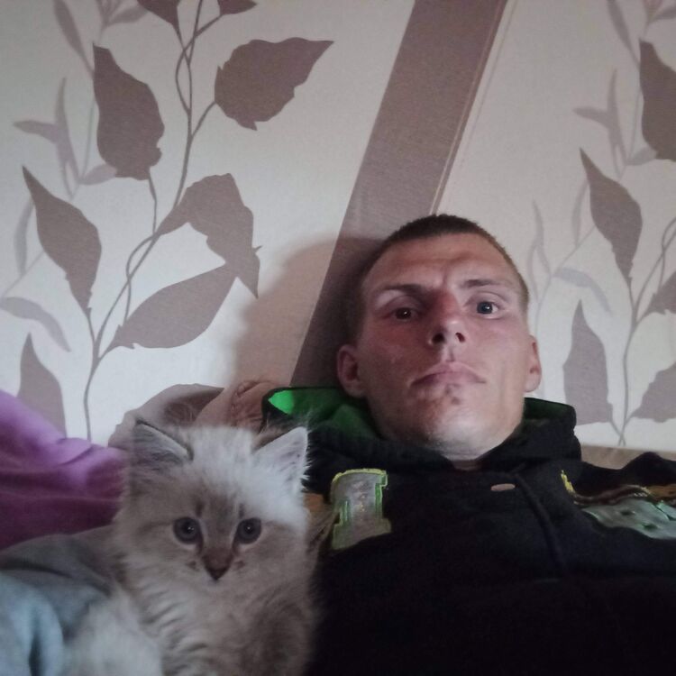 ���������� �����, ���� ������� �������, 32 ����, ������������ ��� ������, ����� � ���������, c�������� ���������, ���������