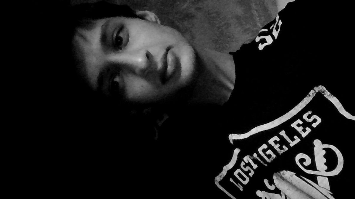  5341792  , 31 ,    -