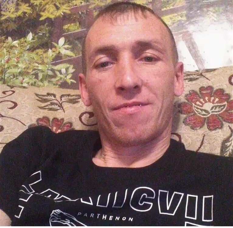  41615502  , 43 ,    