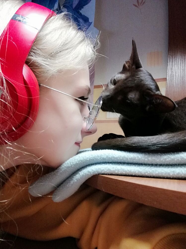 ���� 23427782 ������� ���������, 23 ����, ���� ���������� � ������