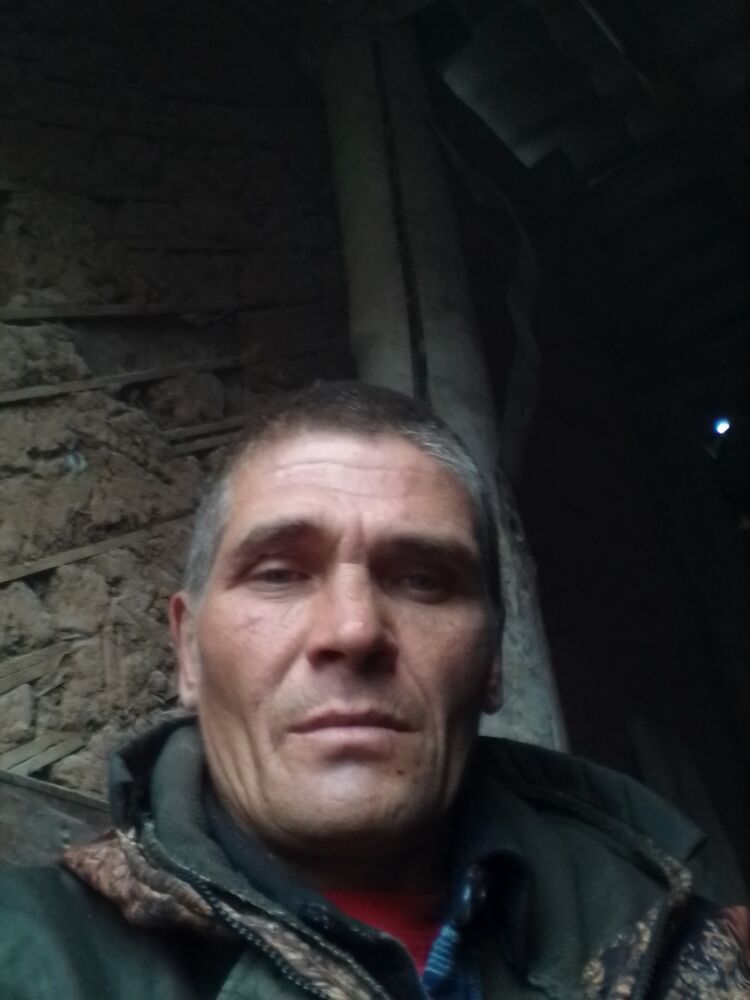  43650742  , 44 ,    