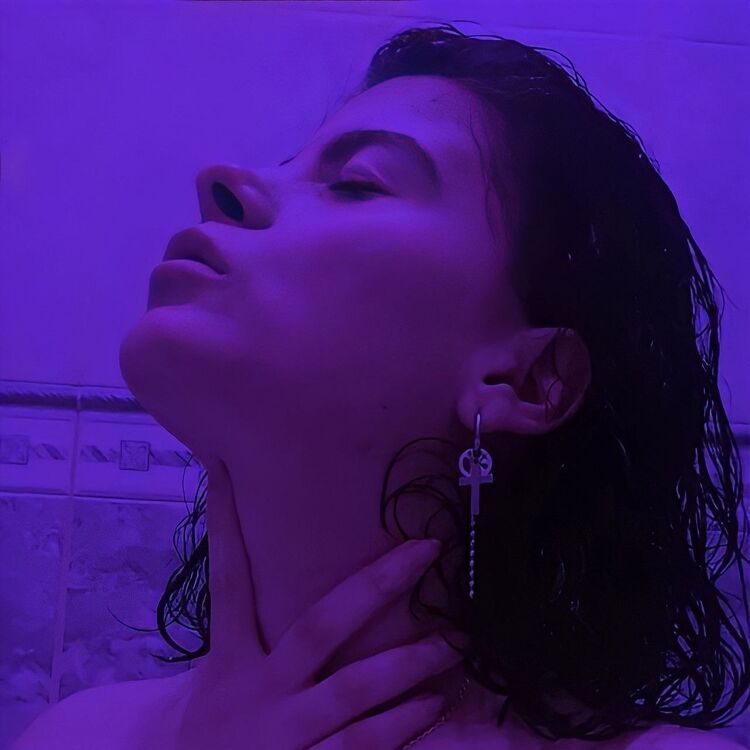  31611872  , 23 ,    
