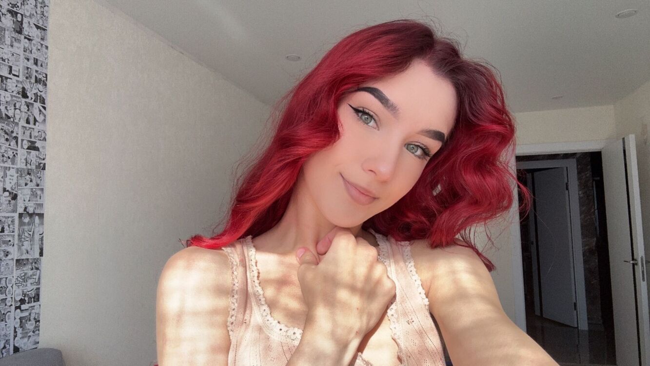 ���������� Meppel, ���� ������� ���������, 24 ����, ������������ ��� ������, ����� � ���������