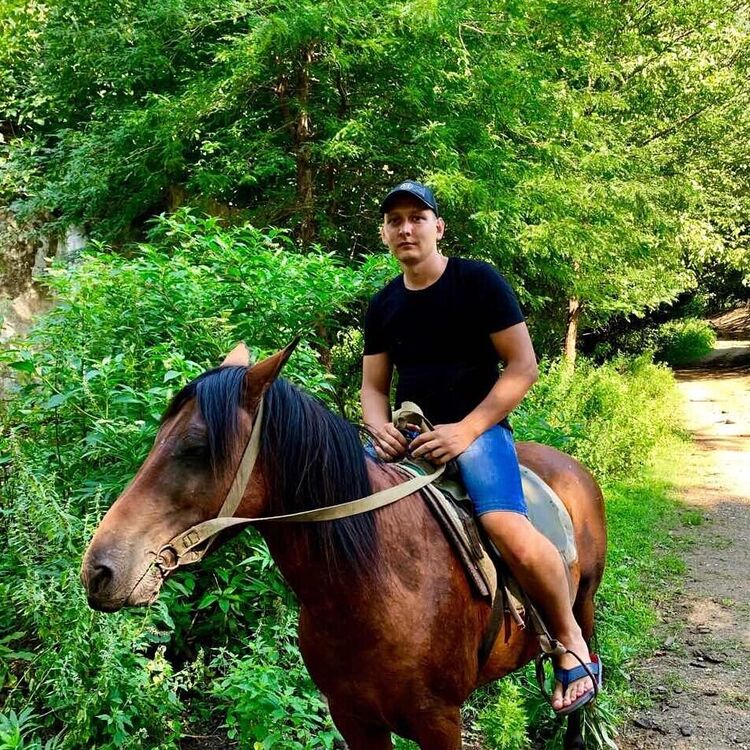 ���� 22143142 ������� ������, 33 ����, ���� ���������� � ��������