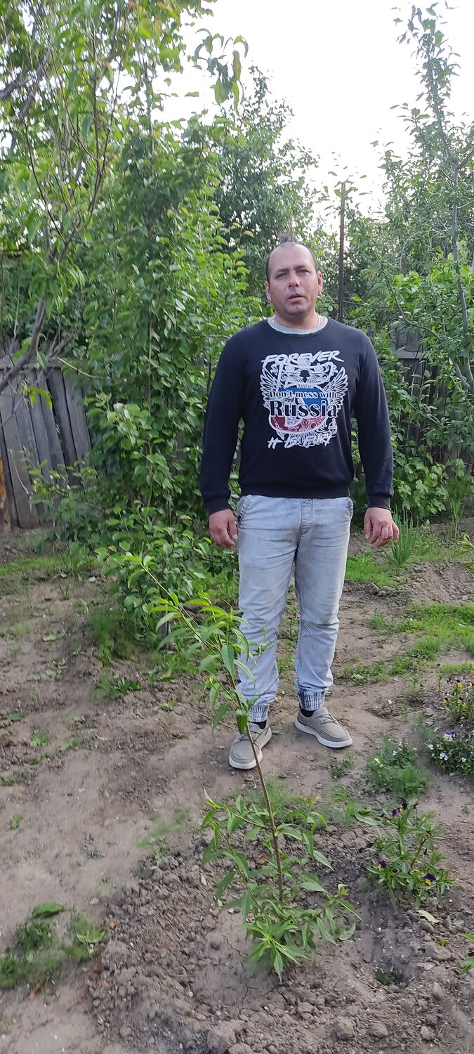 ���� 27738652 ������� ����, 43 ����, ���� ���������� � ���������